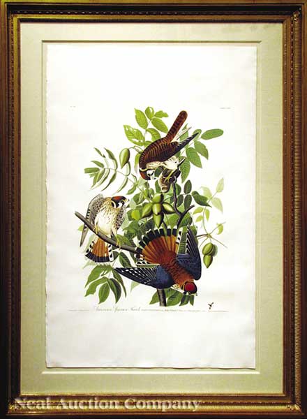 John James Audubon American 1785 1851  14073d