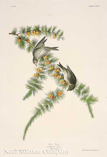 John James Audubon American 1785 1851  140746