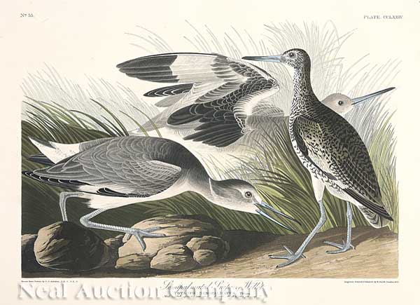 John James Audubon American 1785 1851  140759
