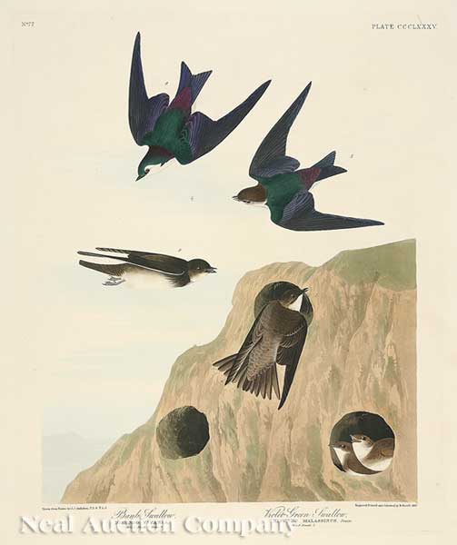 John James Audubon American 1785 1851  14076b