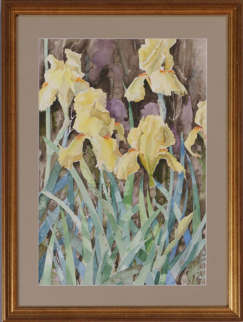 A.E. SHERER: YELLOW BEARDED IRIS