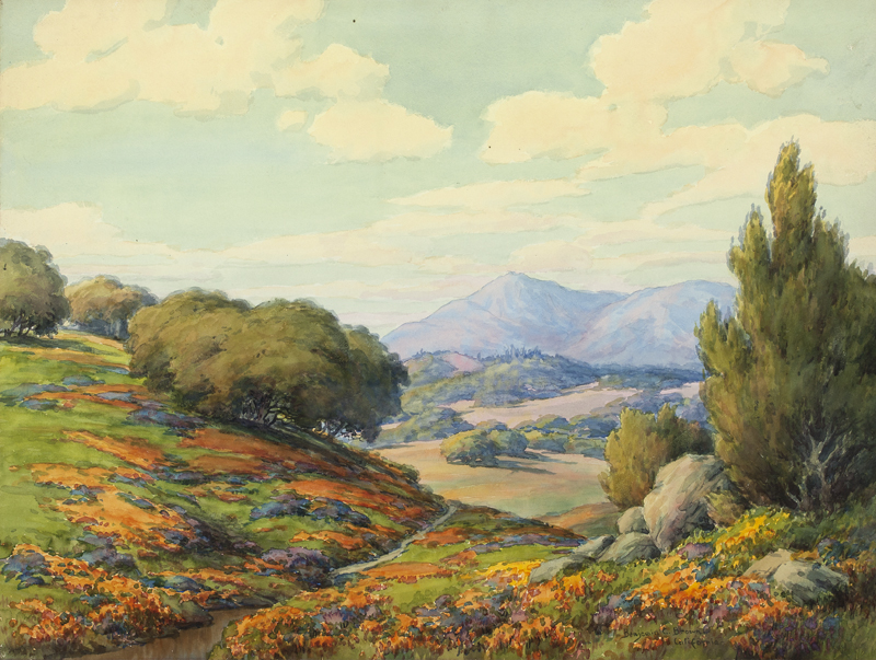 Poppies and lupine in a California 1429e4