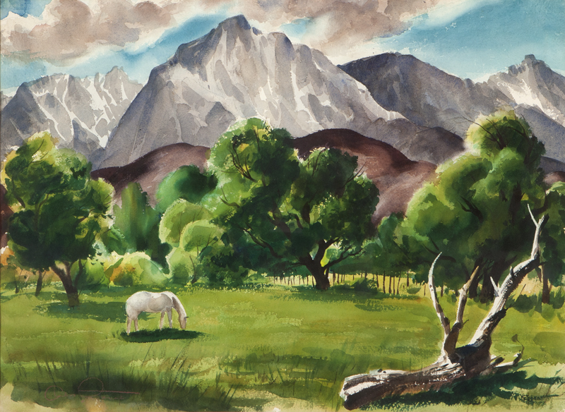 ''Mountain Pasture'' white horse