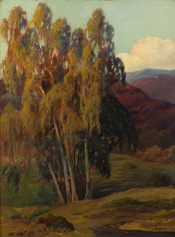''Late Afternoon'' California eucalyptus
