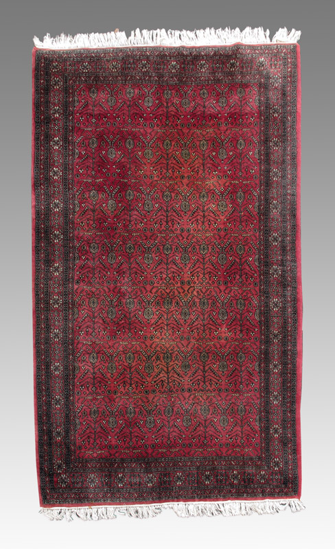 PAKISTANI HAND KNOTTED WOOL RUG 14695d