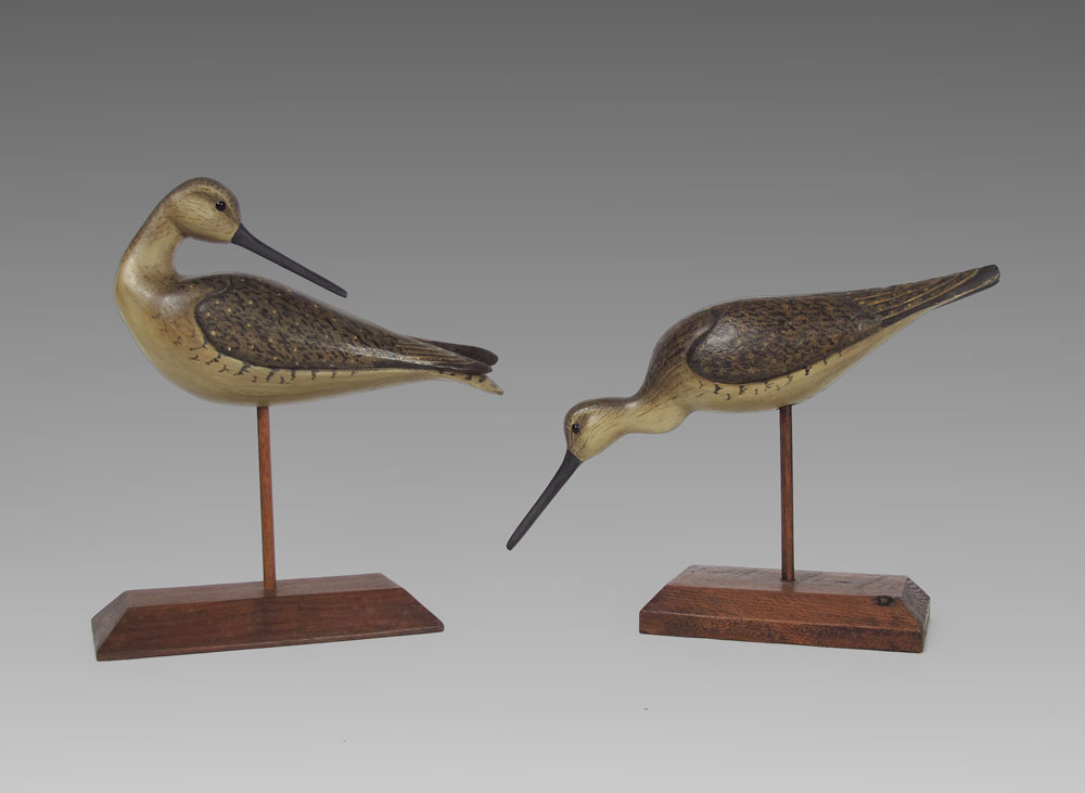 EXCEPTIONAL MOUNTED PAIR OF SHOREBIRD 146bac