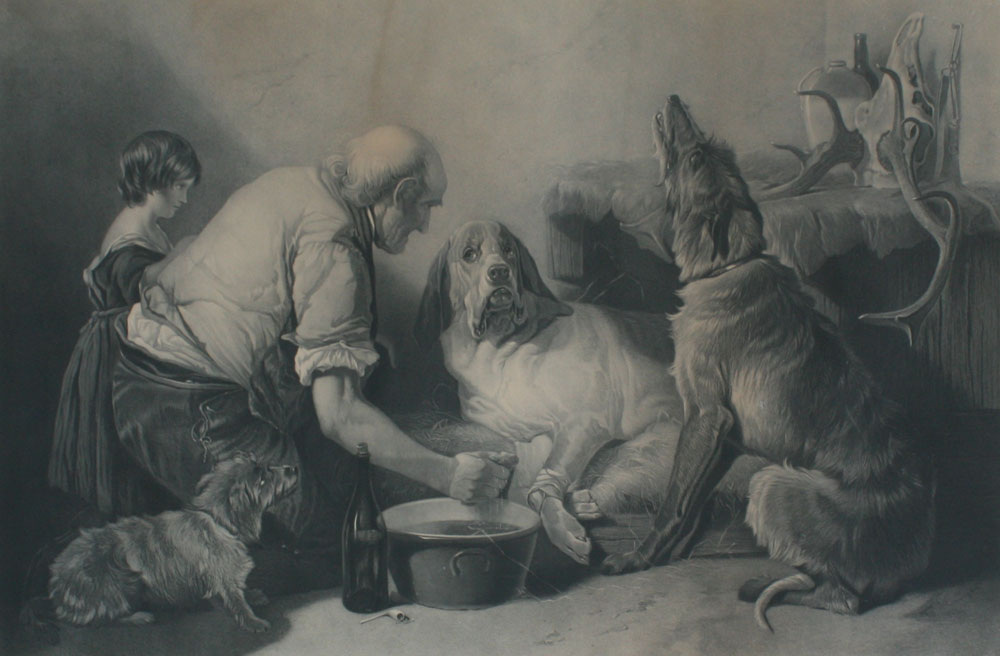 THE WOUNDED HOUND ENGRAVING BY