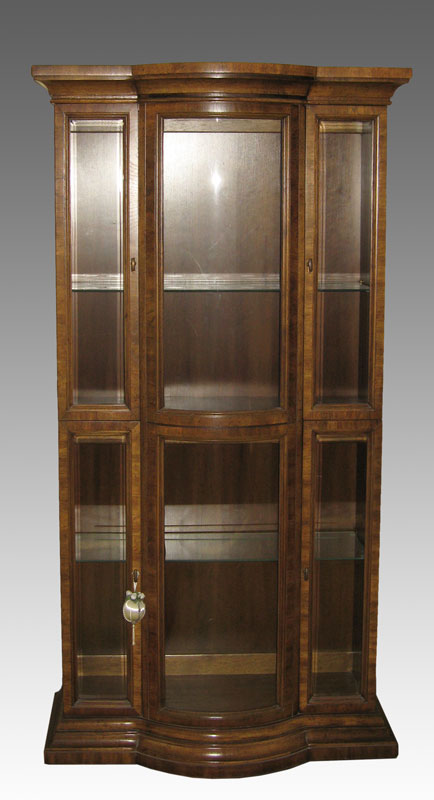 CONTEMPORARY CURIO DISPLAY CABINET: