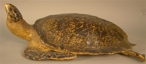 LARGE FAUX PAINTED RESIN TURTLE