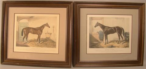 DIXON ROSS A PAIR OF HORSE PRINTS  1451f9