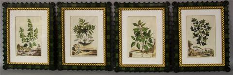 FOUR BOTANICAL PRINTS 8 3/4 X 13