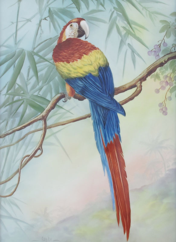SAN-DO (American 20th C): Parrot