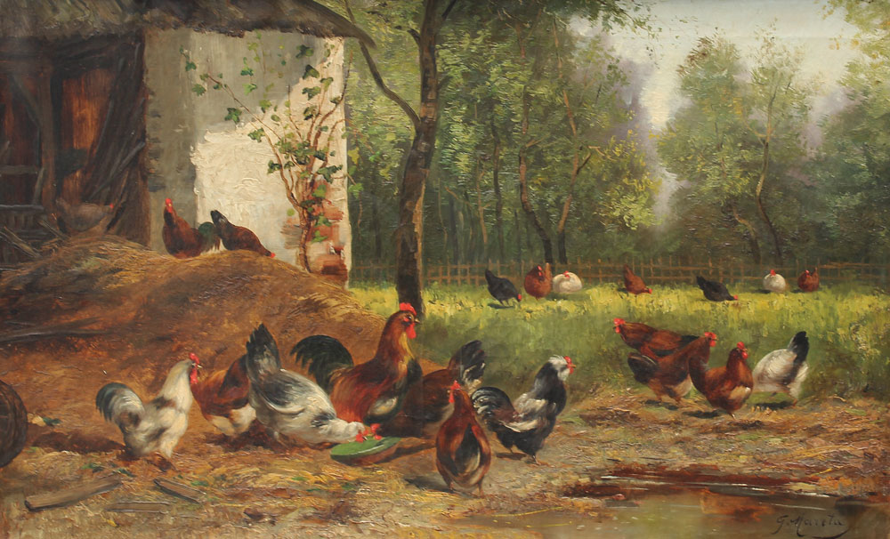 MARETA G. (Italian): Chickens in