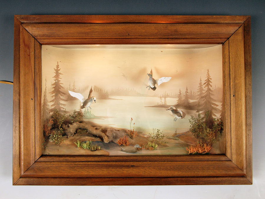 FOLK ART CARVED DUCK DIORAMA Shadowbox 149704