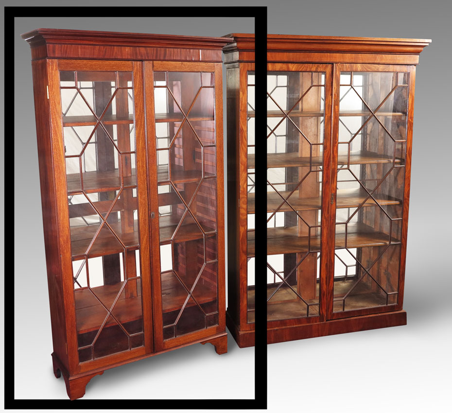 ENGLISH DOUBLE DOOR BOOKCASE DISPLAY