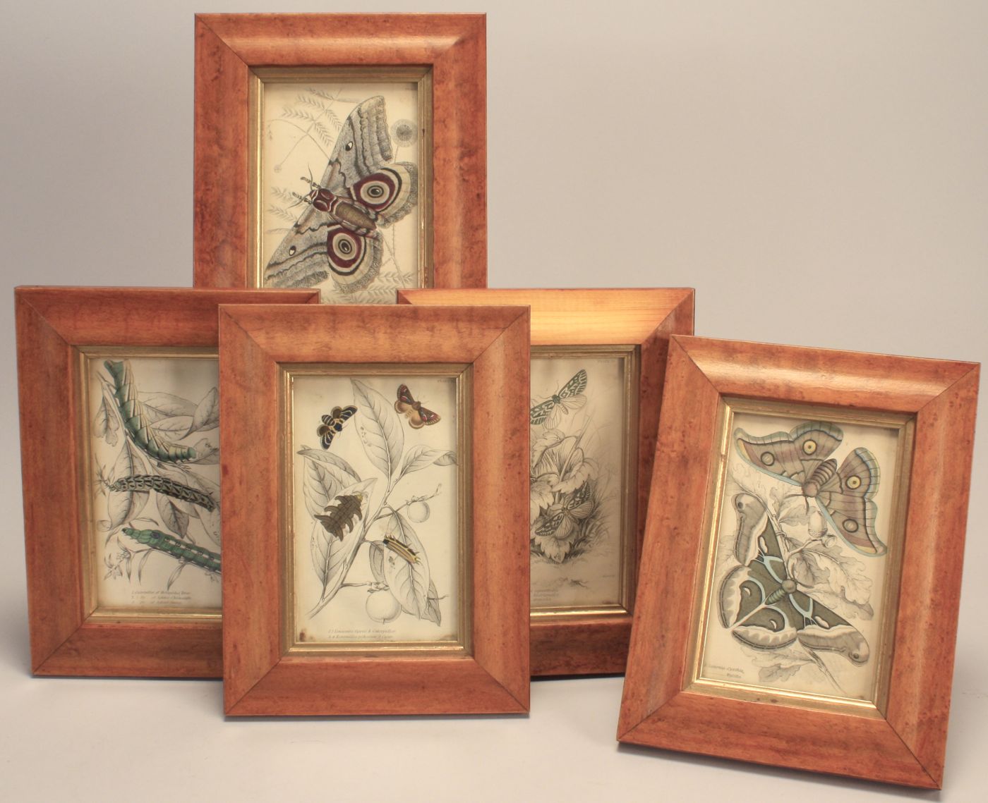 GROUP OF FIVE FRAMED HAND-COLORED