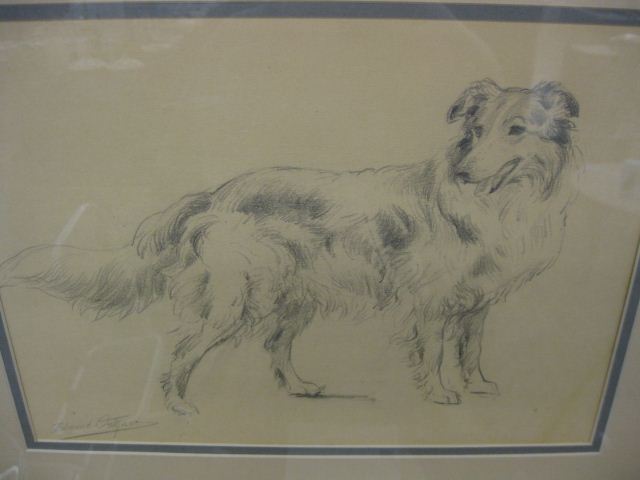 Edmund H Osthaus drawing of Collie 14ac51