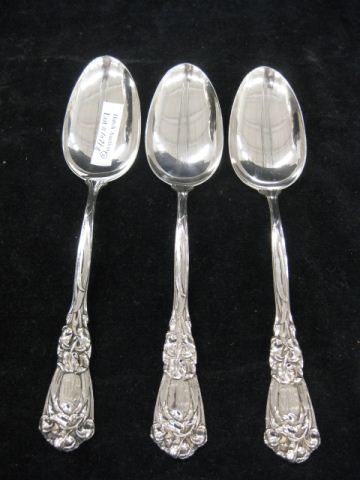 3 Durgin Iris Sterling Serving 14b115