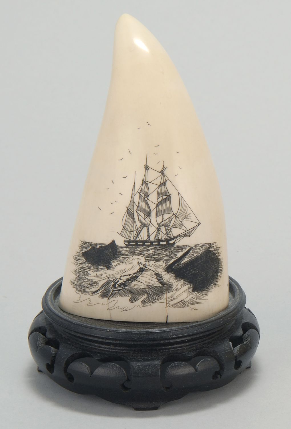  ENGRAVED WHALE S TOOTH20th Century 14b3e5