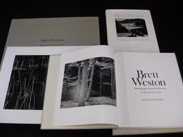 Brett Weston Photograph & Books Reeds