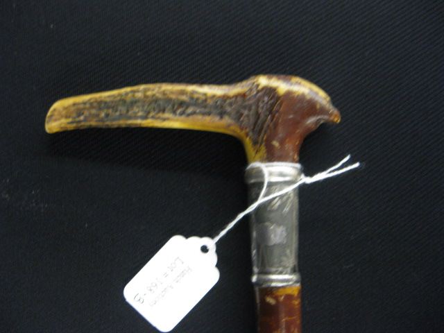 Antique Stag Handle Cane bird decorated