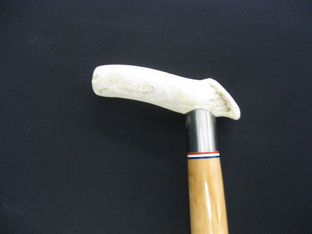 Collector s Cane stag handle with 14bdbb