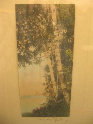 Wallace Nutting Print birches along