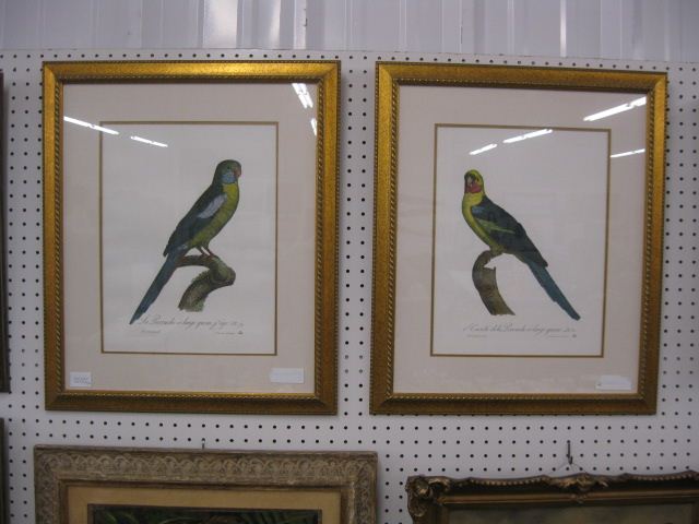 Pair of Bird Prints parrots gold coloring