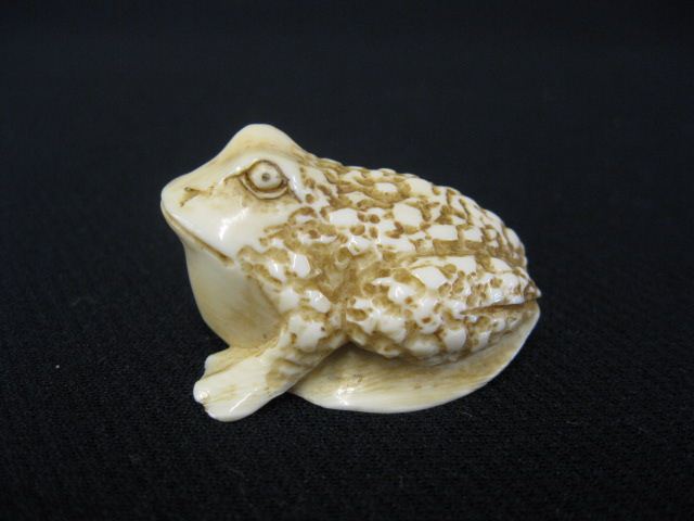 Carved Ivory Netsuke of a Toad 14c068