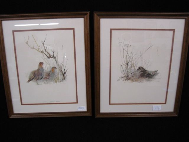Pair of Bird Prints;snipe & partridge