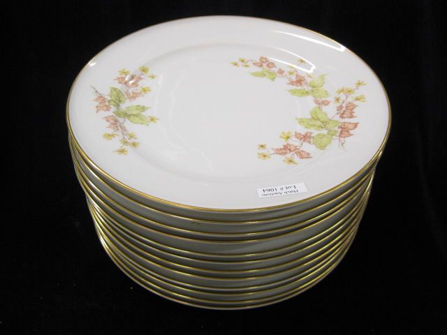 Set of 12 Hutschenreuther Porcelain