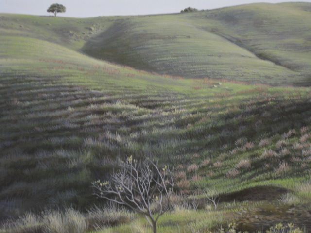 Andrew Denman ''Foothills'' Acrylicon