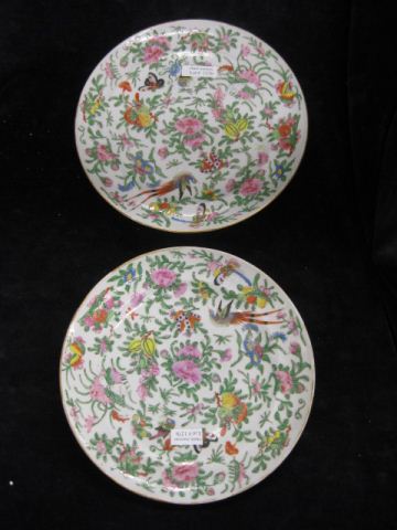 Pair of Chinese Rose Mandarin Porcelain 14a52a