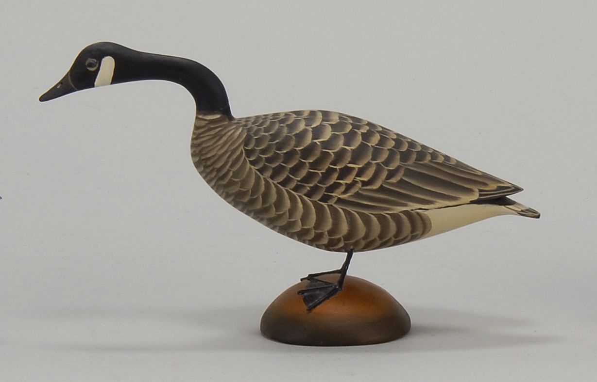 MINIATURE CANADA GOOSEBy James Lapham