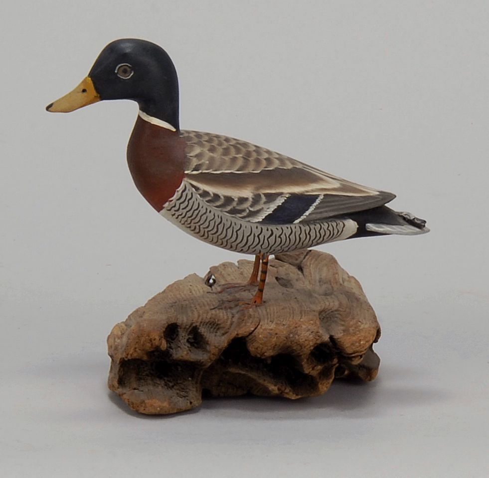 MINIATURE MALLARD DRAKEBy James Lapham