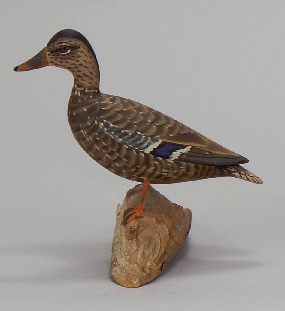 MINIATURE MALLARD HENBy James Lapham