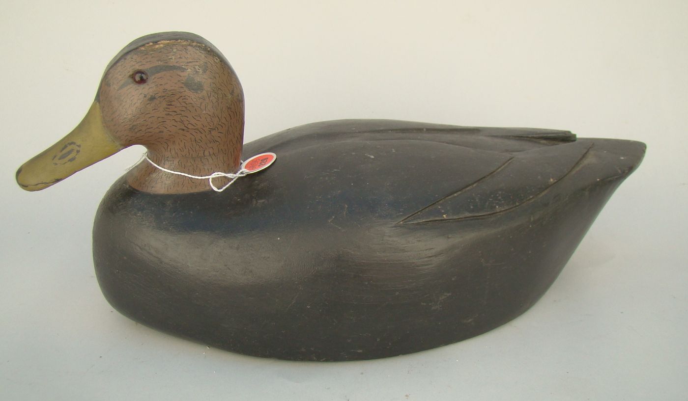 BLACK DUCK DECOYFrom New Jersey. Carved