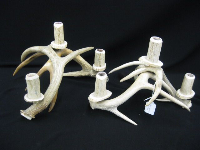 Pair of Antler Candleabra 9 x 14d070