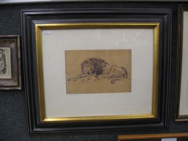 Rembrandt Von Ryin print lion at 14d210