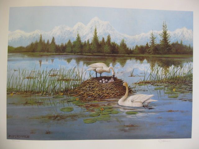 Owen J Gromme Print TrumpterSwans 14d5b1