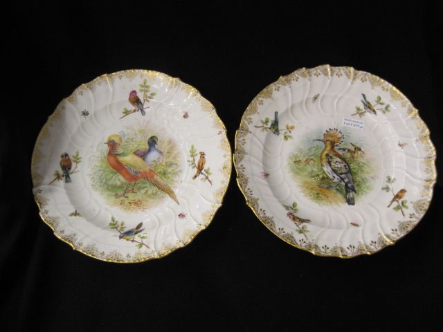 Pair of Fine Handpainted Porcelain 14d68d