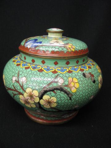 Chinese Cloisonne Jar butterfly 14d7c5