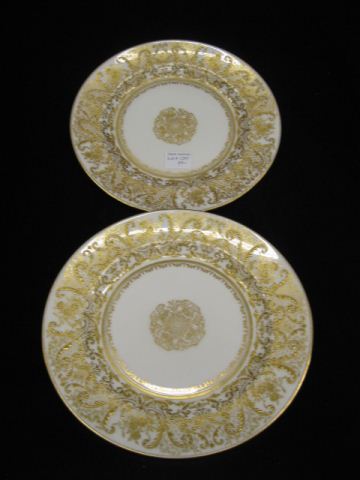 Pair of Royal Doulton China Plates elaborate