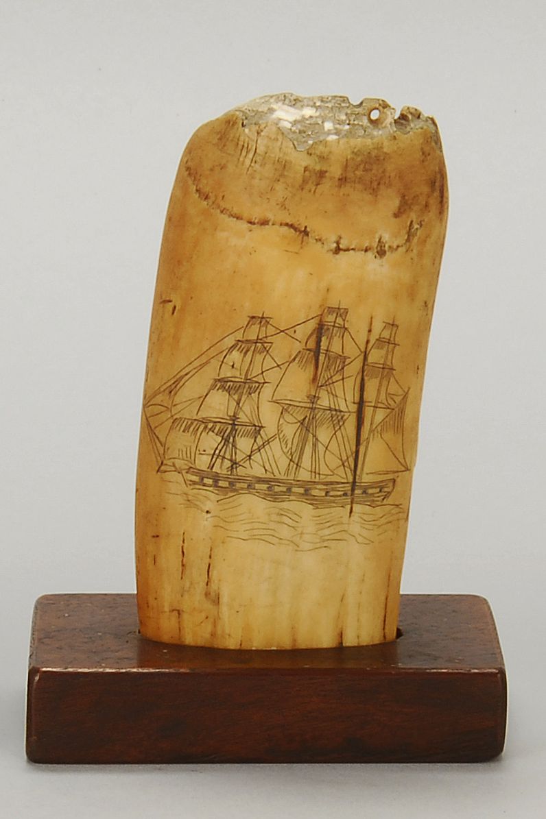 SCRIMSHAW WHALE'S TOOTH19th CenturyDecorated