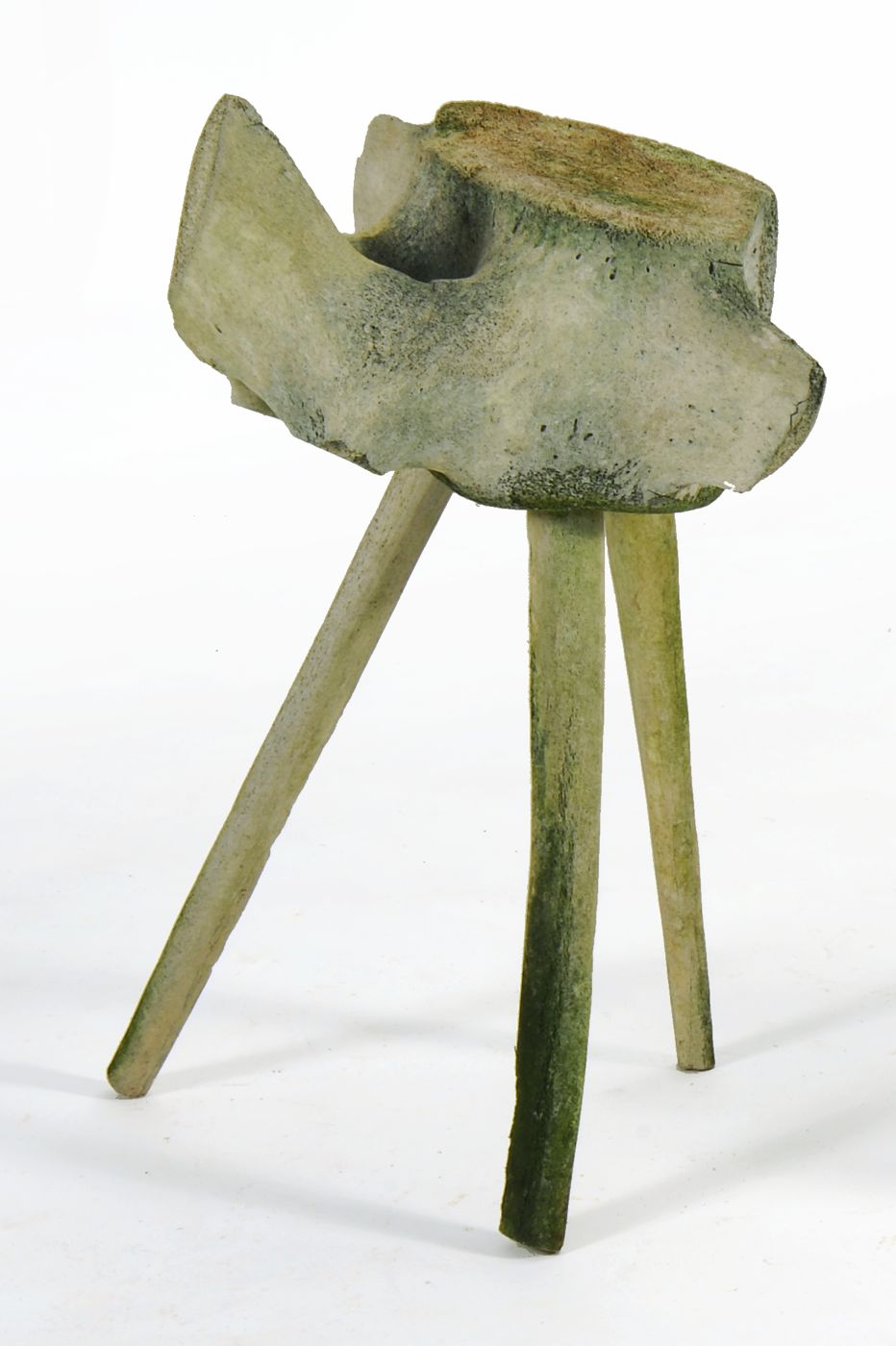  STOOL MADE FROM A WHALE VERTEBRAEWith 14dc2b