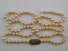A cultured pearl necklace (AF) the pearls