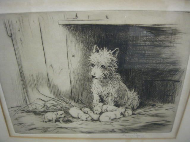 Fine Engraving of Dog with Puppies