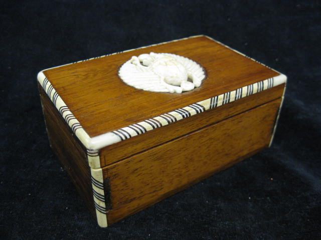 Carved Ivory Wooden Box scarab 14e261