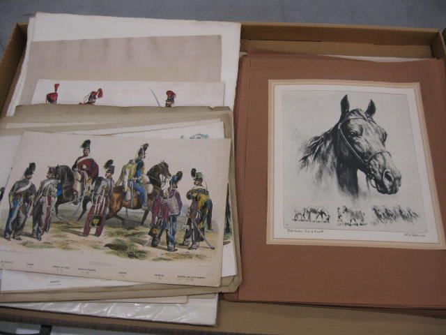 Lot of Animal Prints mostly horse 14e3c3