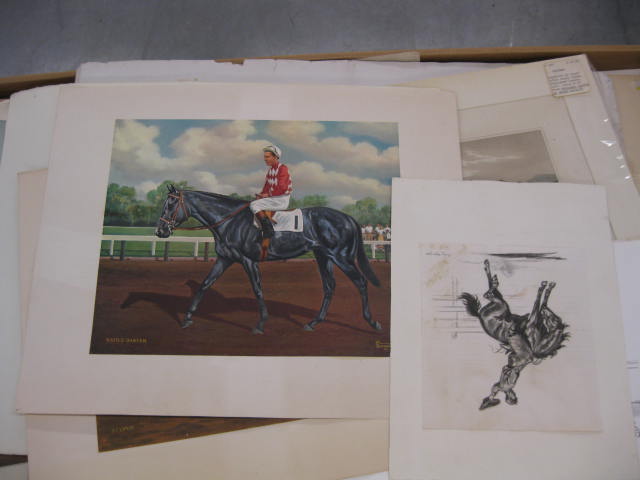 Lot of Prints Lithographs horse 14e3c4